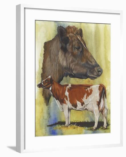 Ayrshire Cows-Barbara Keith-Framed Giclee Print