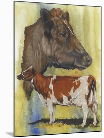 Ayrshire Cows-Barbara Keith-Mounted Giclee Print