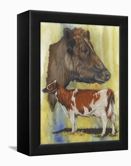 Ayrshire Cows-Barbara Keith-Framed Premier Image Canvas