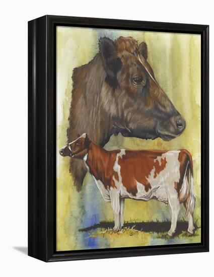 Ayrshire Cows-Barbara Keith-Framed Premier Image Canvas