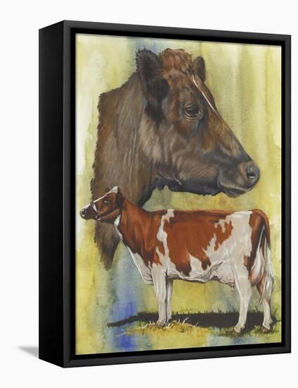 Ayrshire Cows-Barbara Keith-Framed Premier Image Canvas