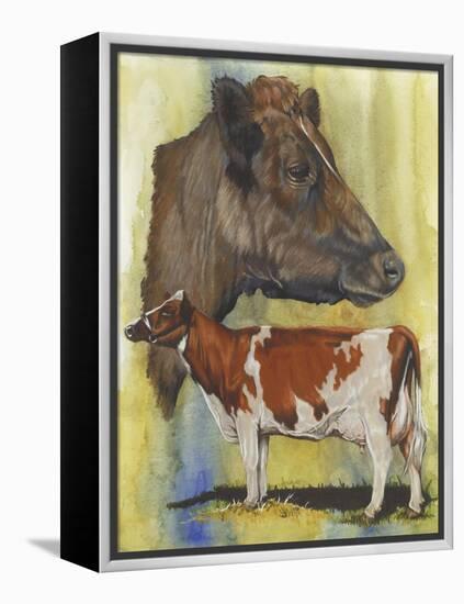 Ayrshire Cows-Barbara Keith-Framed Premier Image Canvas