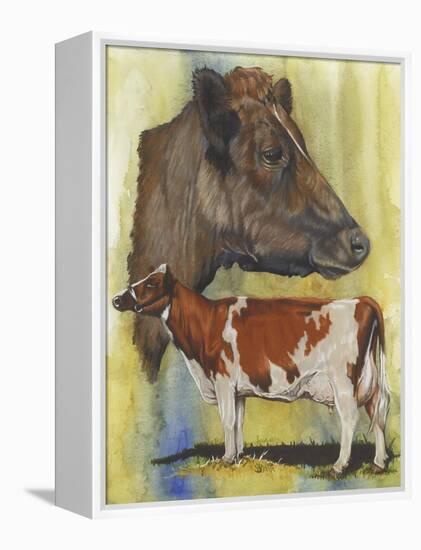 Ayrshire Cows-Barbara Keith-Framed Premier Image Canvas