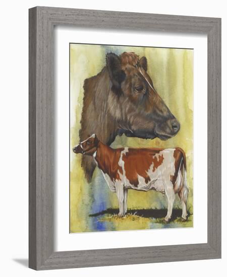 Ayrshire Cows-Barbara Keith-Framed Giclee Print