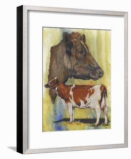 Ayrshire Cows-Barbara Keith-Framed Giclee Print