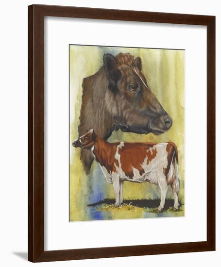 Ayrshire Cows-Barbara Keith-Framed Giclee Print