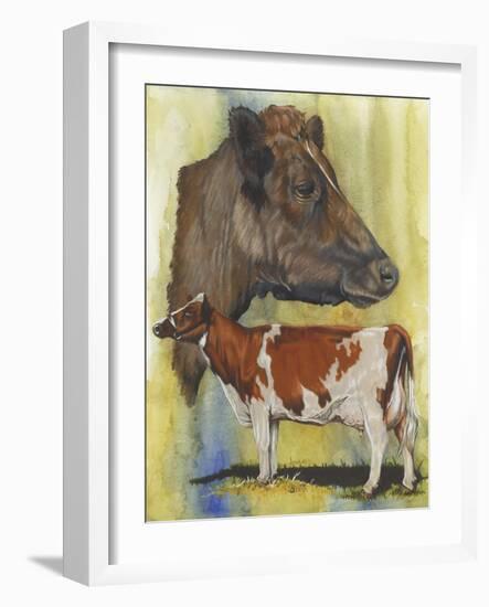 Ayrshire Cows-Barbara Keith-Framed Giclee Print