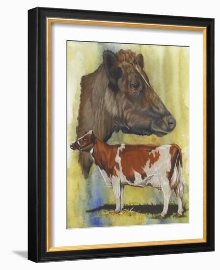 Ayrshire Cows-Barbara Keith-Framed Giclee Print