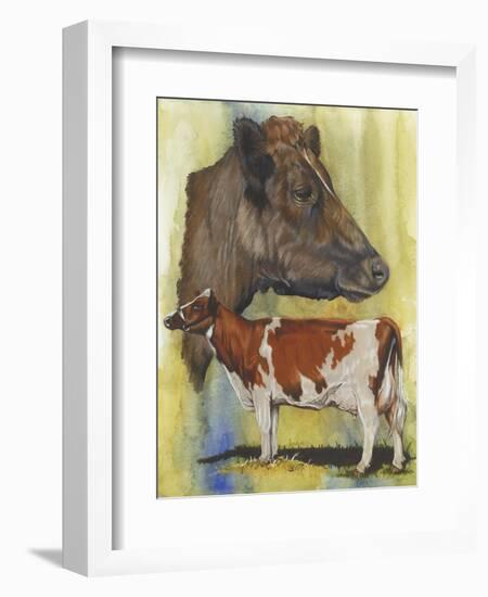 Ayrshire Cows-Barbara Keith-Framed Giclee Print