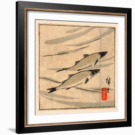 Ayu Zu, River Trout (Ayu). [Between 1868 and 1894], 1 Print : Woodcut, Color ; 9.6 X 10.8-Utagawa Hiroshige-Framed Giclee Print