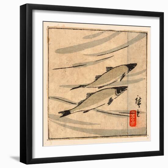 Ayu Zu, River Trout (Ayu). [Between 1868 and 1894], 1 Print : Woodcut, Color ; 9.6 X 10.8-Utagawa Hiroshige-Framed Giclee Print