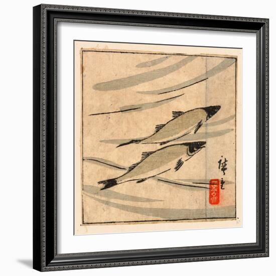 Ayu Zu, River Trout (Ayu). [Between 1868 and 1894], 1 Print : Woodcut, Color ; 9.6 X 10.8-Utagawa Hiroshige-Framed Giclee Print