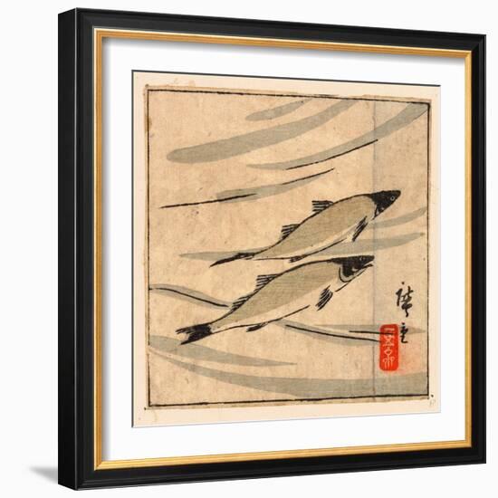 Ayu Zu, River Trout (Ayu). [Between 1868 and 1894], 1 Print : Woodcut, Color ; 9.6 X 10.8-Utagawa Hiroshige-Framed Giclee Print