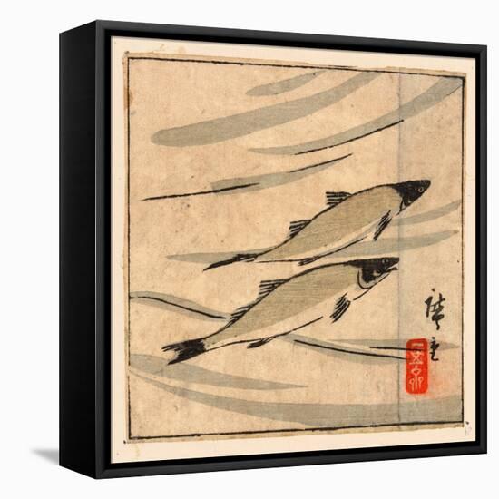 Ayu Zu, River Trout (Ayu). [Between 1868 and 1894], 1 Print : Woodcut, Color ; 9.6 X 10.8-Utagawa Hiroshige-Framed Premier Image Canvas