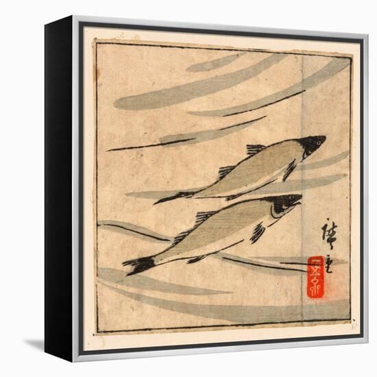 Ayu Zu, River Trout (Ayu). [Between 1868 and 1894], 1 Print : Woodcut, Color ; 9.6 X 10.8-Utagawa Hiroshige-Framed Premier Image Canvas