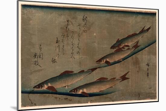 Ayu Zu-Utagawa Hiroshige-Mounted Giclee Print