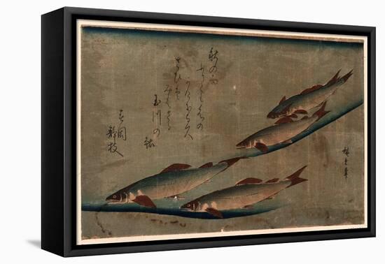 Ayu Zu-Utagawa Hiroshige-Framed Premier Image Canvas