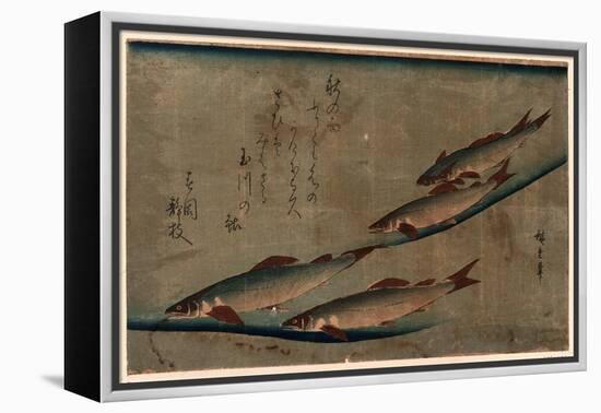 Ayu Zu-Utagawa Hiroshige-Framed Premier Image Canvas