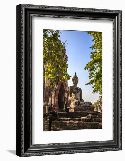 Ayutthaya, Thailand. Large Buddha at Wat Phra Mahathat, Ayutthaya Historical Park, near Bangkok.-Miva Stock-Framed Photographic Print