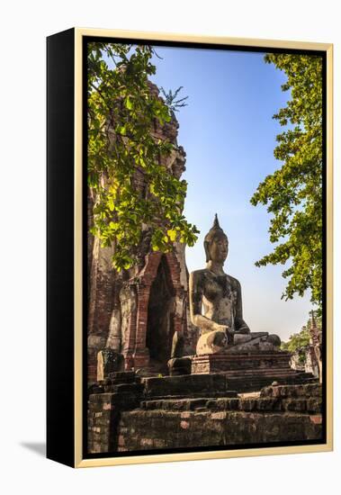 Ayutthaya, Thailand. Large Buddha at Wat Phra Mahathat, Ayutthaya Historical Park, near Bangkok.-Miva Stock-Framed Premier Image Canvas