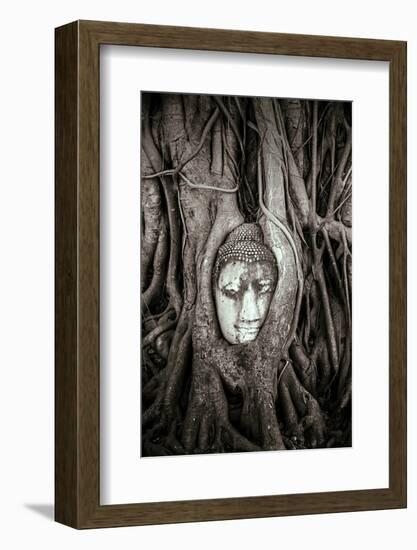 Ayutthaya, Thailand. Sandstone head of Buddha, at Wat Phra Mahathat, Ayutthaya Historical Park, nea-Miva Stock-Framed Photographic Print