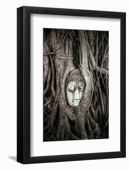 Ayutthaya, Thailand. Sandstone head of Buddha, at Wat Phra Mahathat, Ayutthaya Historical Park, nea-Miva Stock-Framed Photographic Print