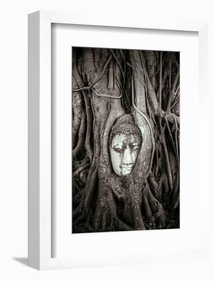 Ayutthaya, Thailand. Sandstone head of Buddha, at Wat Phra Mahathat, Ayutthaya Historical Park, nea-Miva Stock-Framed Photographic Print