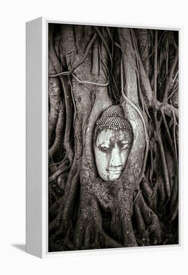 Ayutthaya, Thailand. Sandstone head of Buddha, at Wat Phra Mahathat, Ayutthaya Historical Park, nea-Miva Stock-Framed Premier Image Canvas