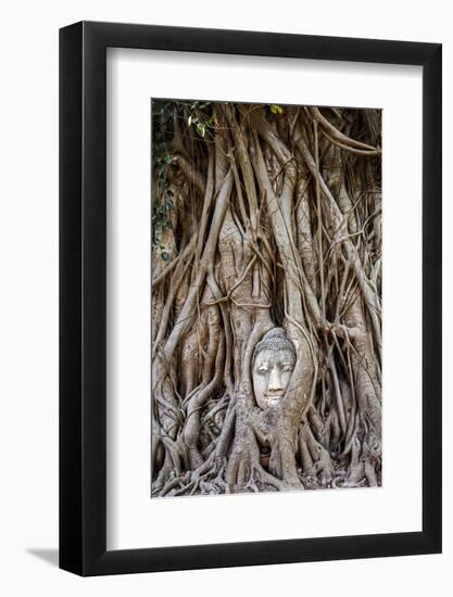 Ayutthaya, Thailand. Sandstone head of Buddha, at Wat Phra Mahathat, Ayutthaya Historical Park, nea-Miva Stock-Framed Photographic Print