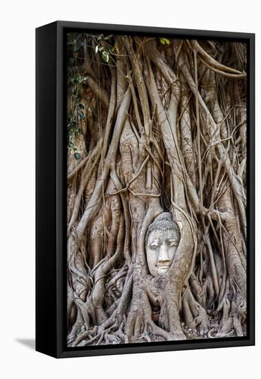 Ayutthaya, Thailand. Sandstone head of Buddha, at Wat Phra Mahathat, Ayutthaya Historical Park, nea-Miva Stock-Framed Premier Image Canvas