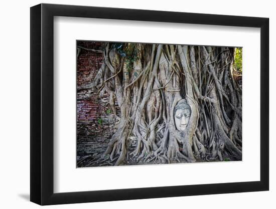 Ayutthaya, Thailand. Sandstone head of Buddha, at Wat Phra Mahathat, Ayutthaya Historical Park, nea-Miva Stock-Framed Photographic Print