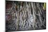 Ayutthaya, Thailand. Sandstone head of Buddha, at Wat Phra Mahathat, Ayutthaya Historical Park, nea-Miva Stock-Mounted Photographic Print