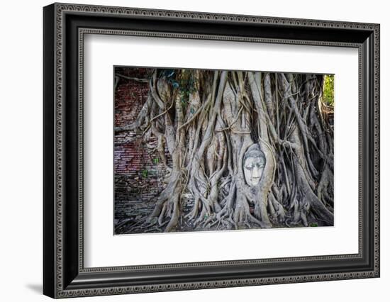 Ayutthaya, Thailand. Sandstone head of Buddha, at Wat Phra Mahathat, Ayutthaya Historical Park, nea-Miva Stock-Framed Photographic Print