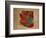 AZ Colorful Counties-Red Atlas Designs-Framed Giclee Print