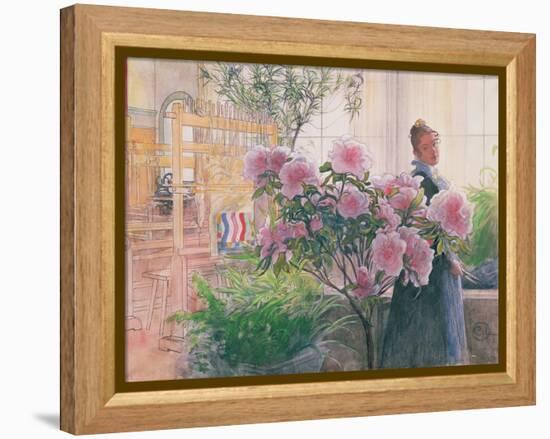 Azalea, 1906-Carl Larsson-Framed Premier Image Canvas