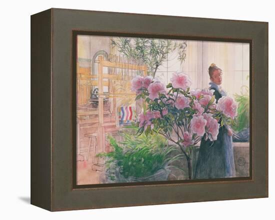 Azalea, 1906-Carl Larsson-Framed Premier Image Canvas