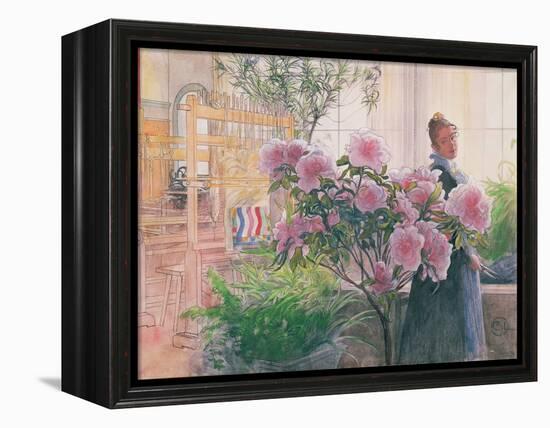 Azalea, 1906-Carl Larsson-Framed Premier Image Canvas