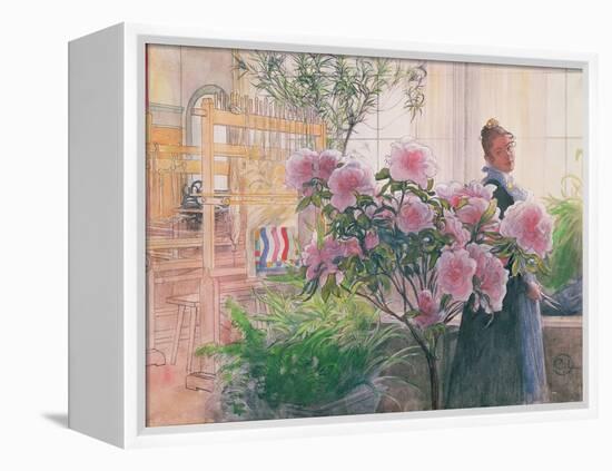 Azalea, 1906-Carl Larsson-Framed Premier Image Canvas