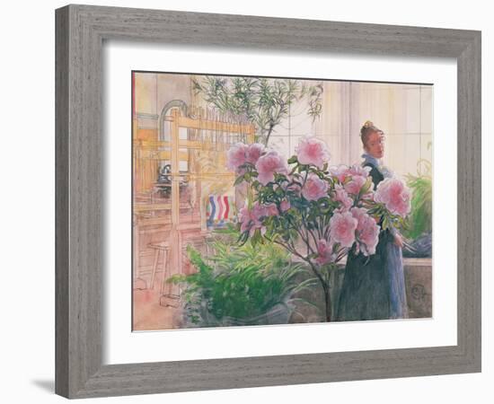 Azalea, 1906-Carl Larsson-Framed Giclee Print