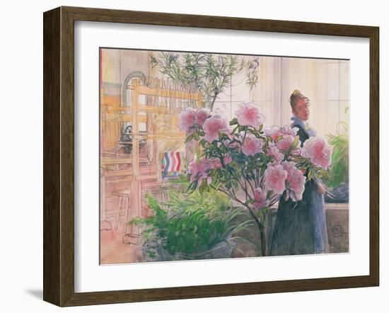 Azalea, 1906-Carl Larsson-Framed Giclee Print