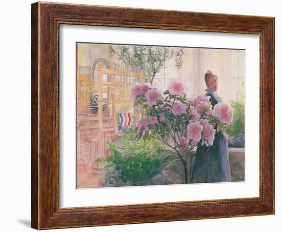 Azalea, 1906-Carl Larsson-Framed Giclee Print