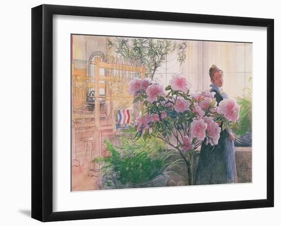 Azalea, 1906-Carl Larsson-Framed Giclee Print