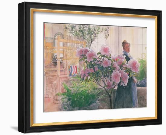 Azalea, 1906-Carl Larsson-Framed Giclee Print