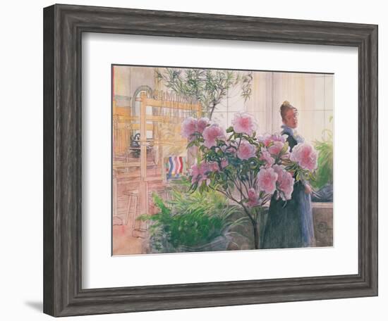 Azalea, 1906-Carl Larsson-Framed Giclee Print