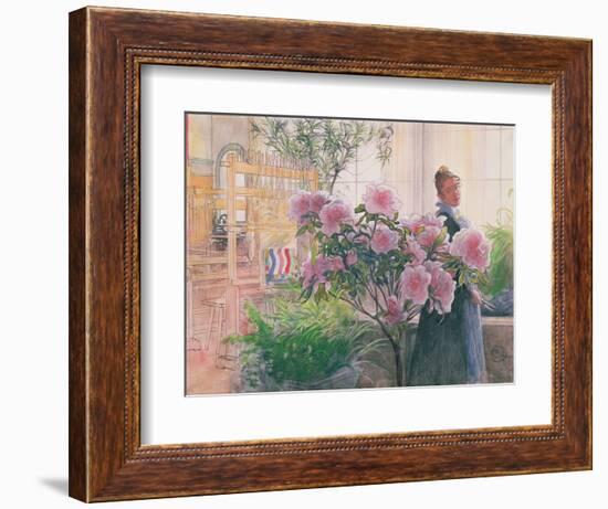 Azalea, 1906-Carl Larsson-Framed Giclee Print