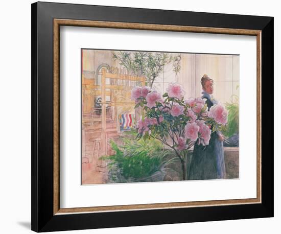 Azalea, 1906-Carl Larsson-Framed Giclee Print