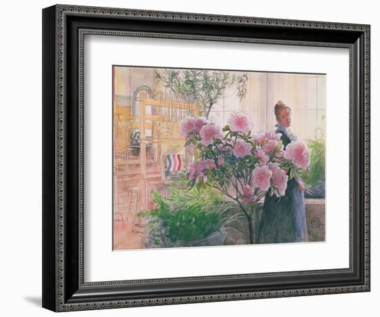 Azalea, 1906-Carl Larsson-Framed Giclee Print