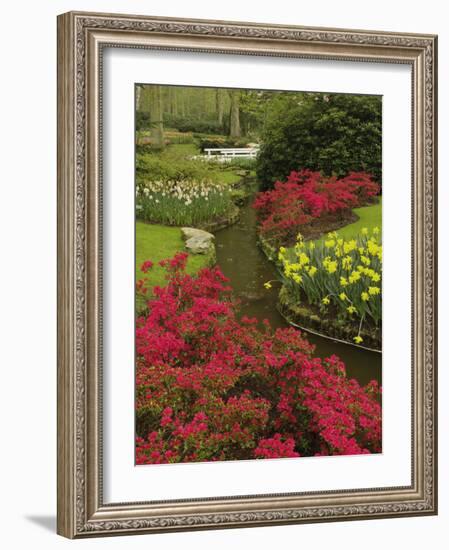 Azalea and daffodil garden, Keukenhof Gardens, Lisse, Netherlands, Holland-Adam Jones-Framed Photographic Print