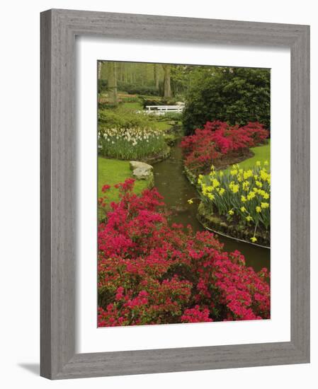 Azalea and daffodil garden, Keukenhof Gardens, Lisse, Netherlands, Holland-Adam Jones-Framed Photographic Print