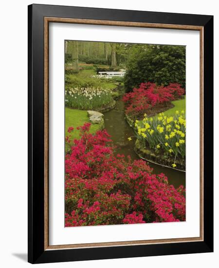 Azalea and daffodil garden, Keukenhof Gardens, Lisse, Netherlands, Holland-Adam Jones-Framed Photographic Print